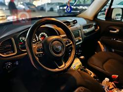 جيب رينيجيد